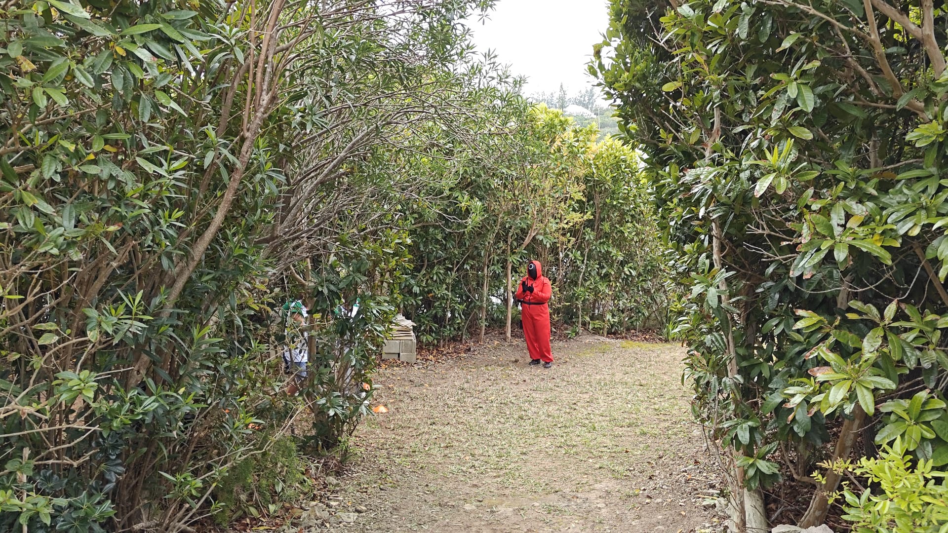 Image gallery image