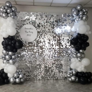 Silver Shimmer Wall Backdrop